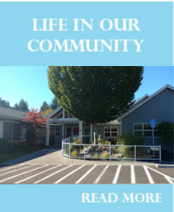 Life in Our Community 2